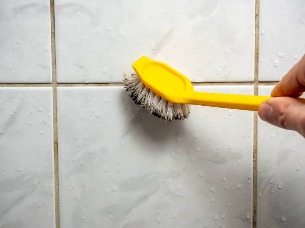 Best Water Damage Restoration  in Crewe, VA