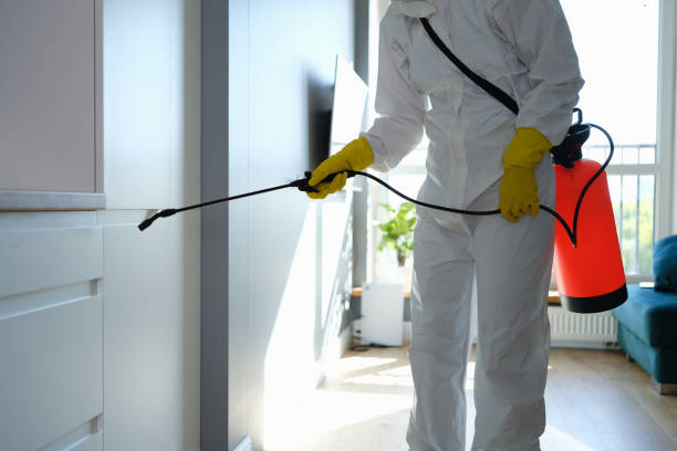 Home Mold Removal in Crewe, VA