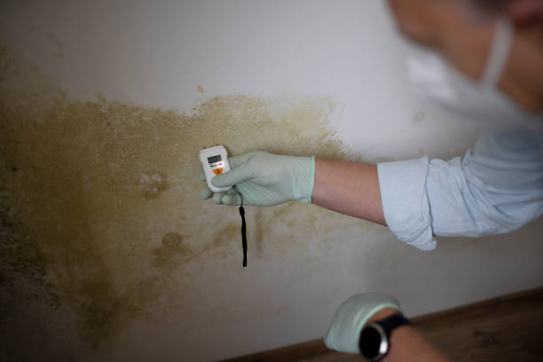 Best Mold Testing  in Crewe, VA