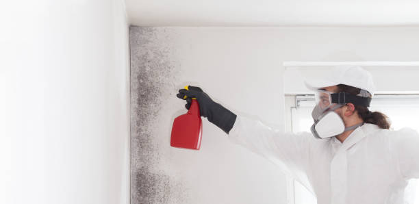 Best Certified Mold Removal  in Crewe, VA