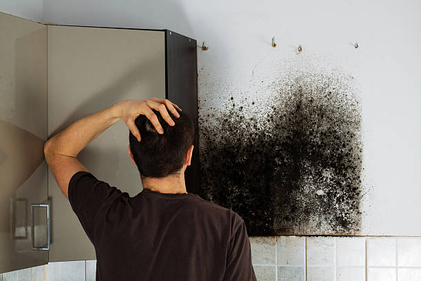 Best Mold Removal Process  in Crewe, VA